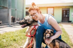 Healthy Hound Playground for Active and Energetic Dogs